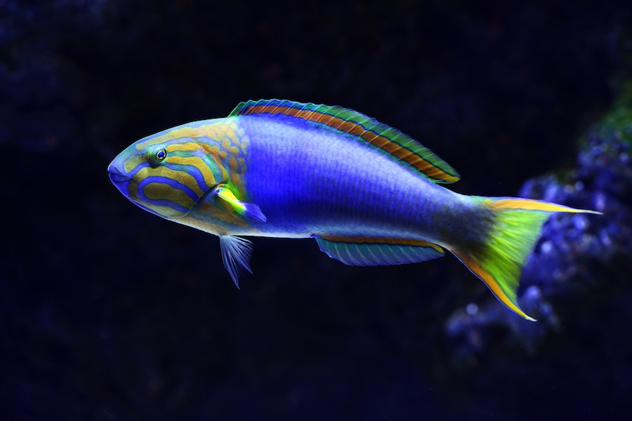 改善_改悪_注意