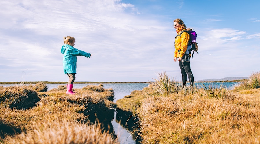 Web_メール_サーバー_MXレコード２