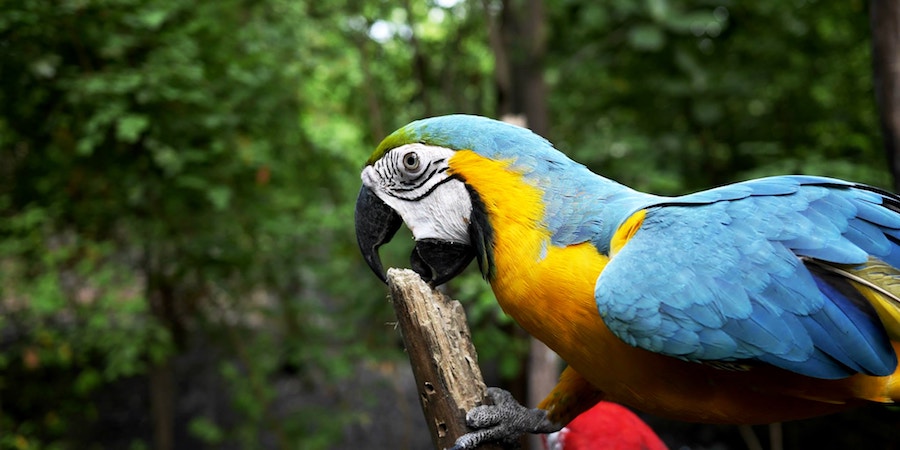 判断力_処理_効率.３jpg