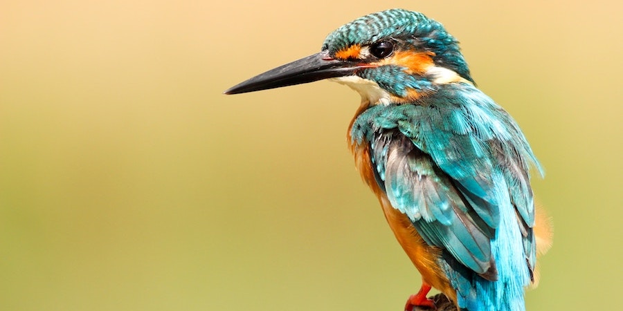 判断力_処理_効率２