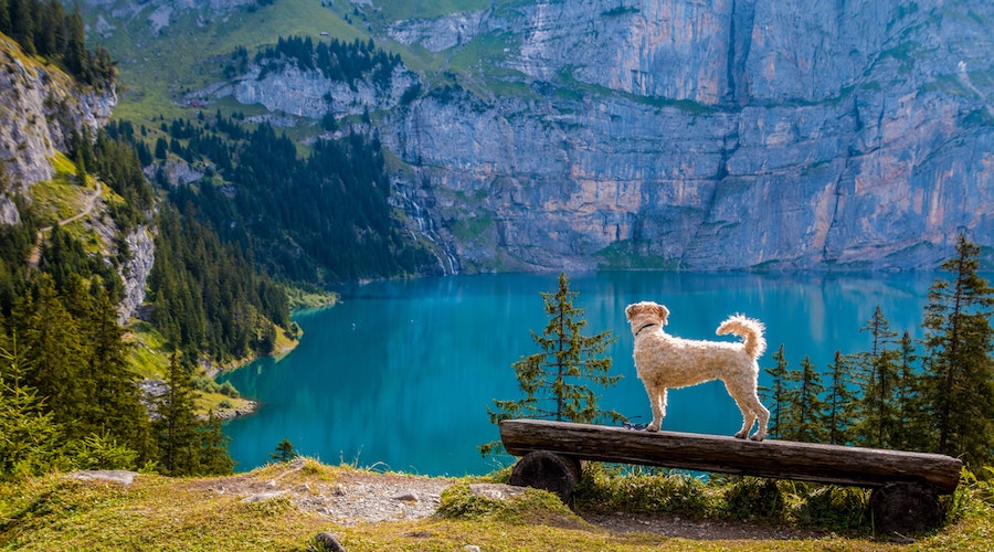 視座_視点_考える４