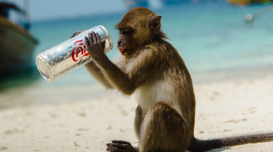 クリッカブル_マップ_タブ２