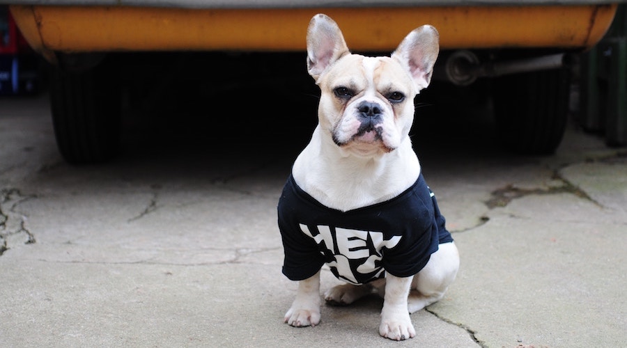 クリッカブル_マップ_タブ３