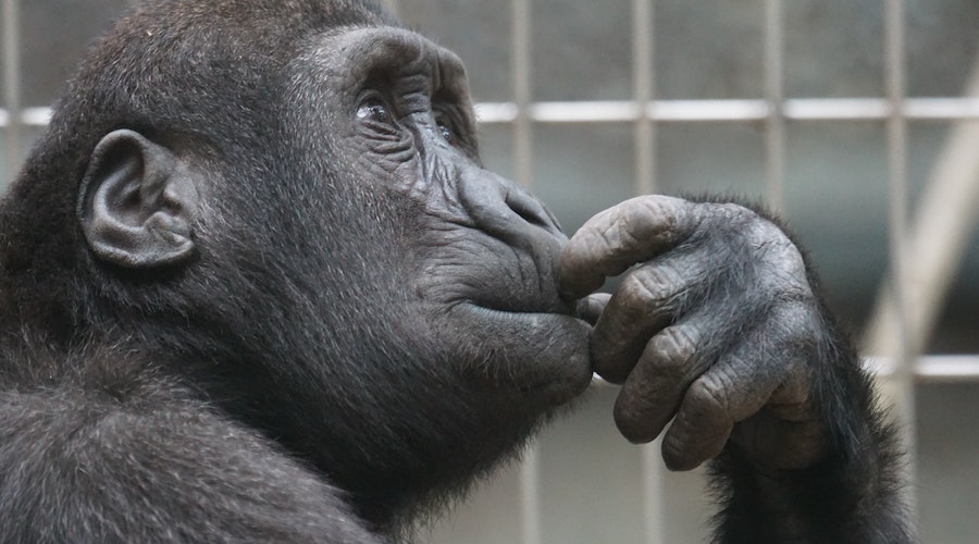 全体_それぞれ_仕事２