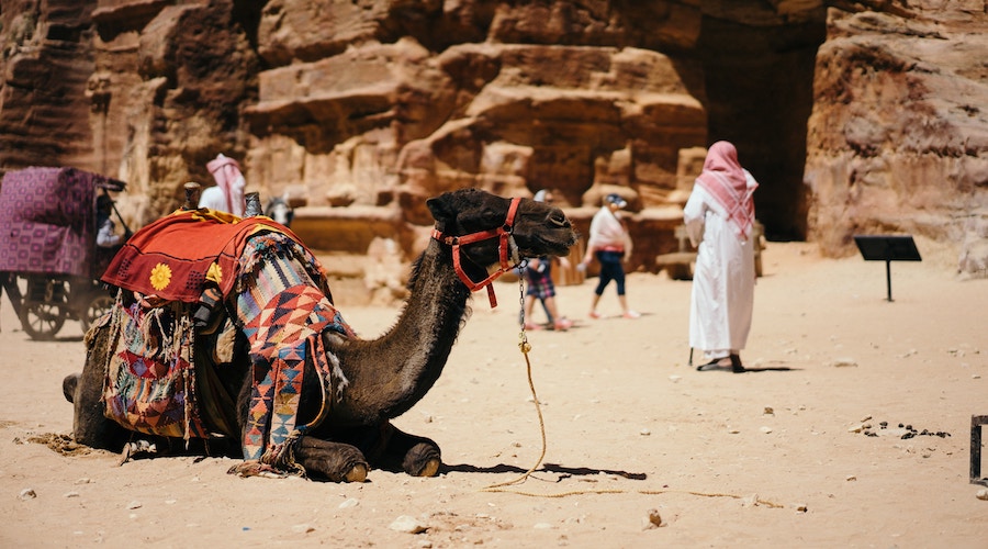 ダラダラ_プロジェクト_ピシッ２