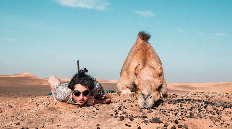 ダラダラ_プロジェクト_ピシッ４