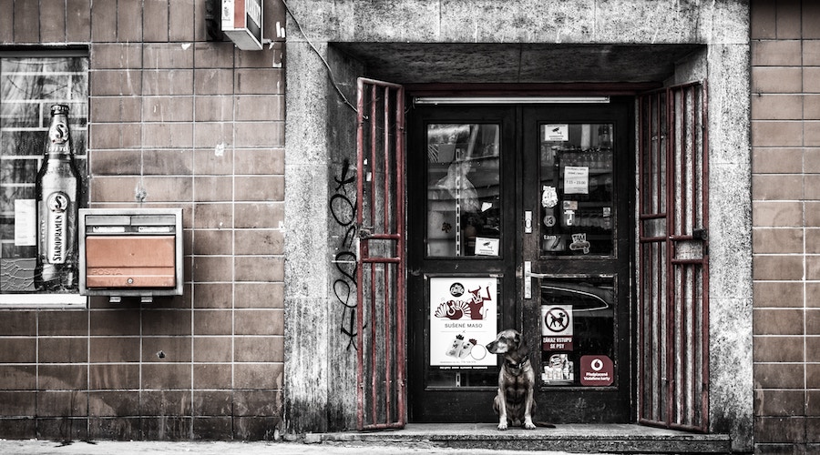 ロジカル_エモーショナル_論理的_感情的_思考３