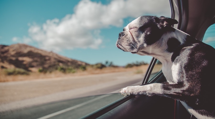 今_できない_この先