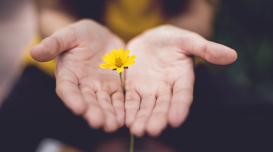 得_損_長続き２