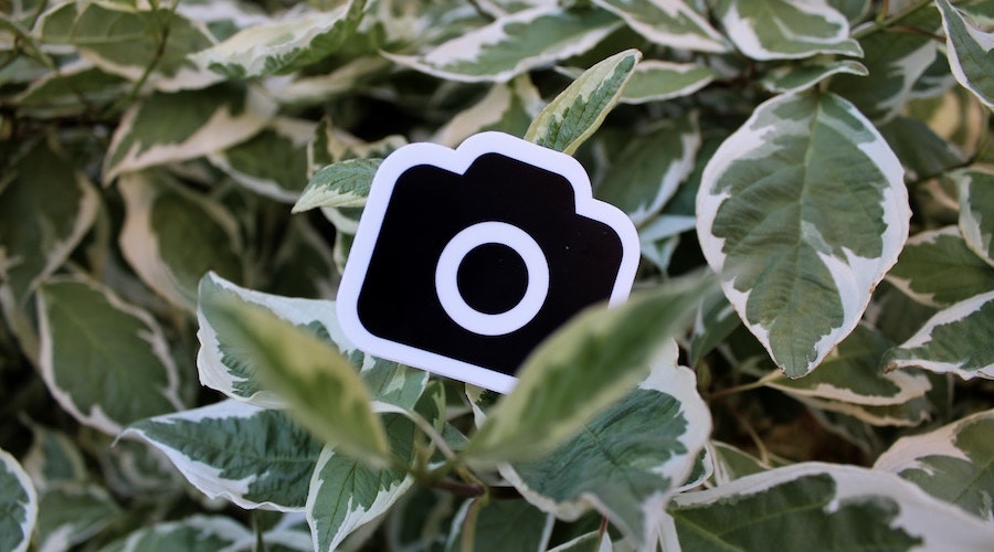 FontAwesome_表示されない_font-weight３