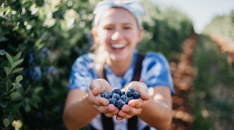 メリット_提供_レベル２